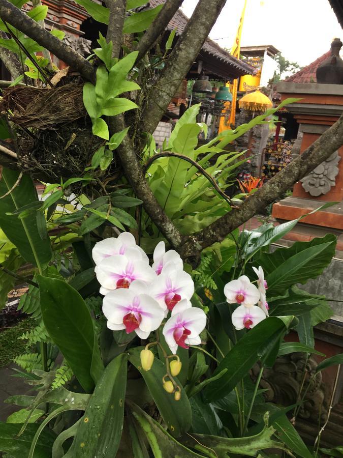 Local Family House Hotel Gianyar  Bagian luar foto