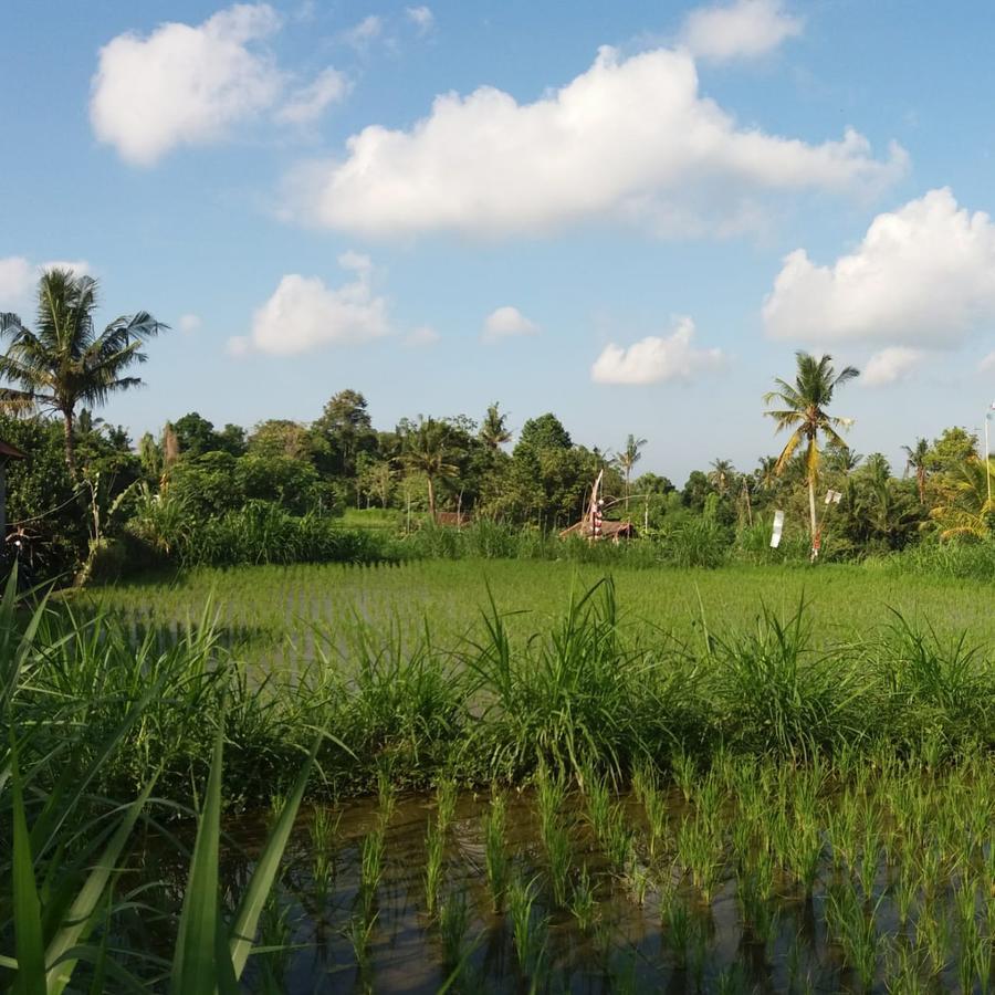 Local Family House Hotel Gianyar  Bagian luar foto